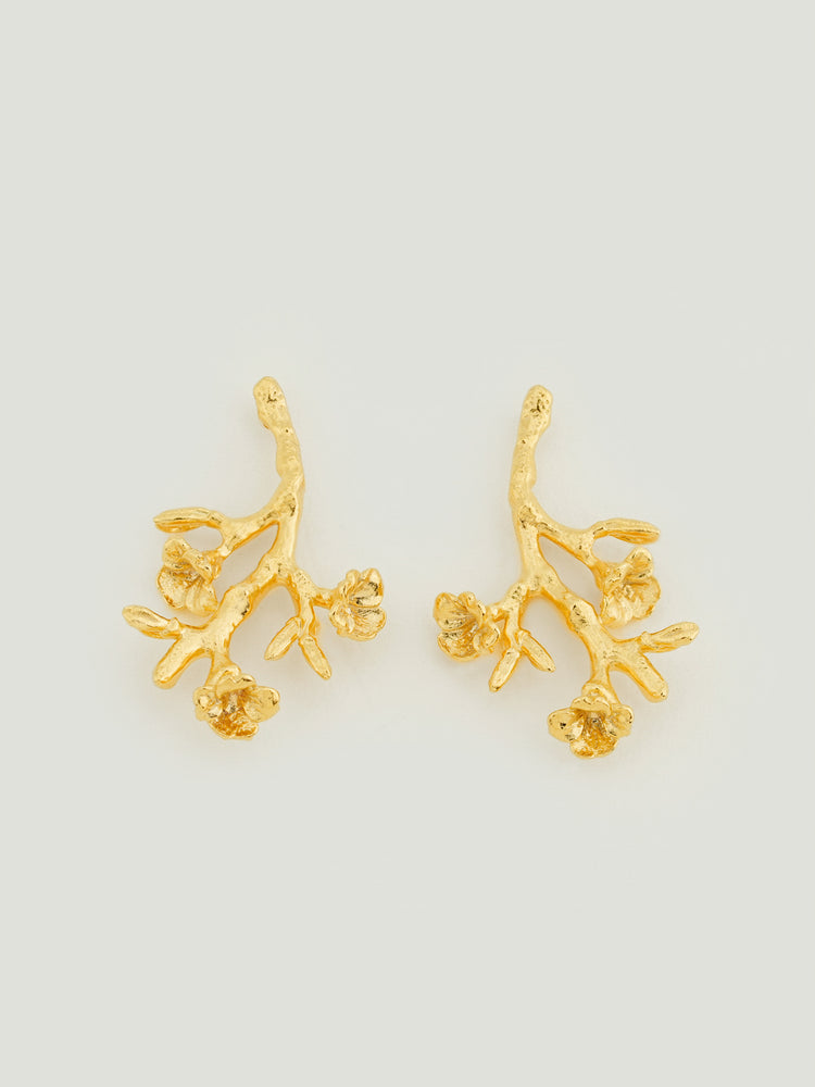 Blossom Vine Drop Earrings Blossom Vine Drop Earrings
