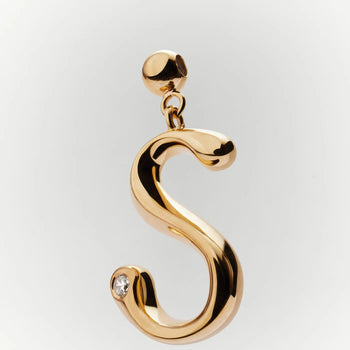PDPAOLA Initial S Charm