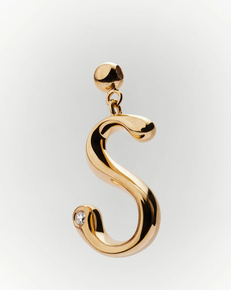 PDPAOLA Initial S Charm