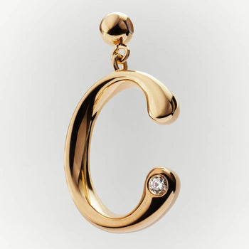 PDPAOLA Initial C Charm