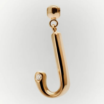 PDPAOLA Initial J Charm