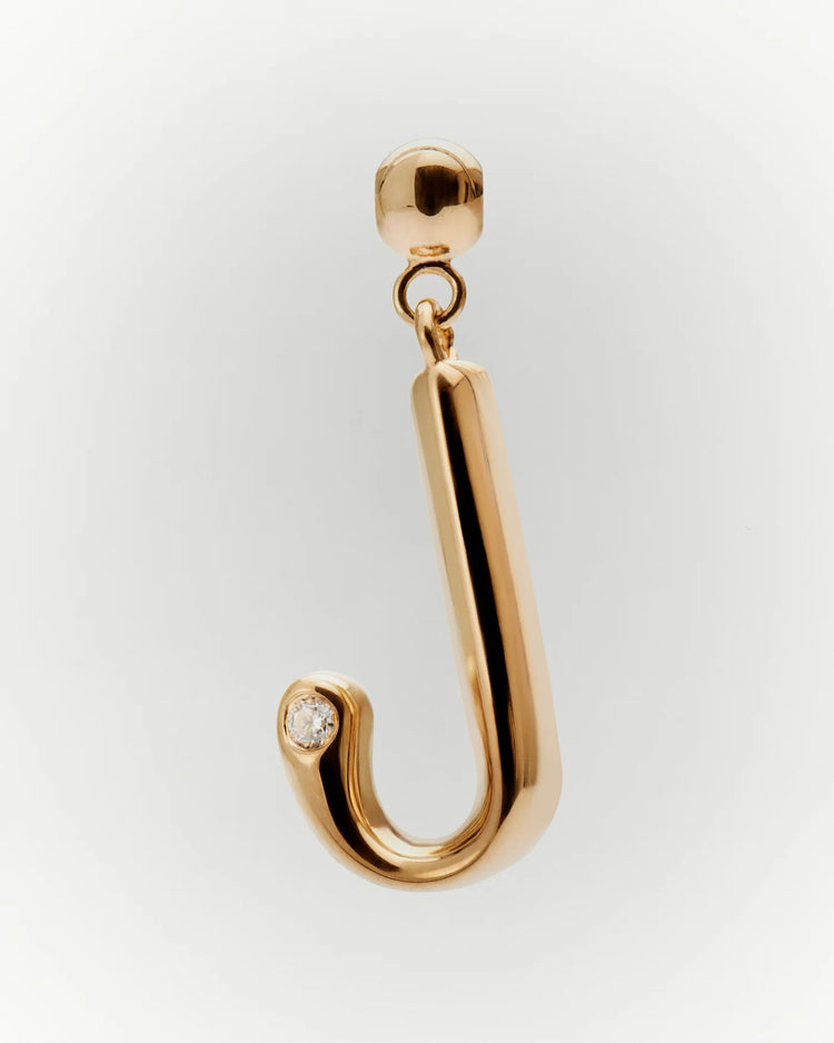 PDPAOLA Initial J Charm