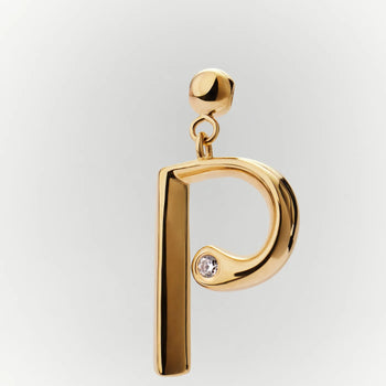 PDPAOLA Initial P Charm