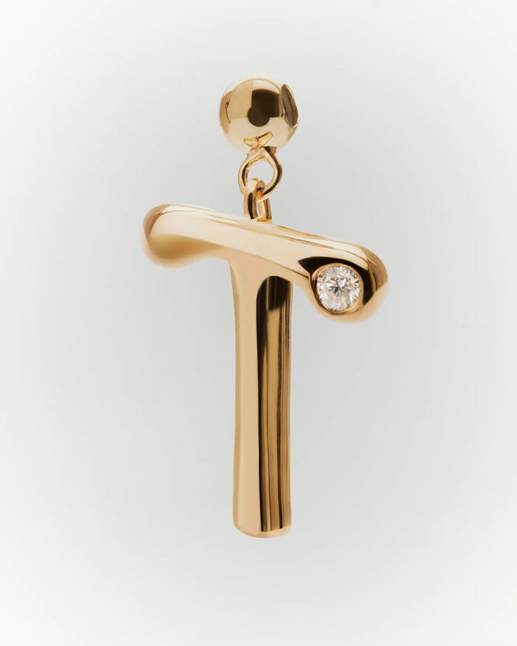 PDPAOLA Initial T Charm