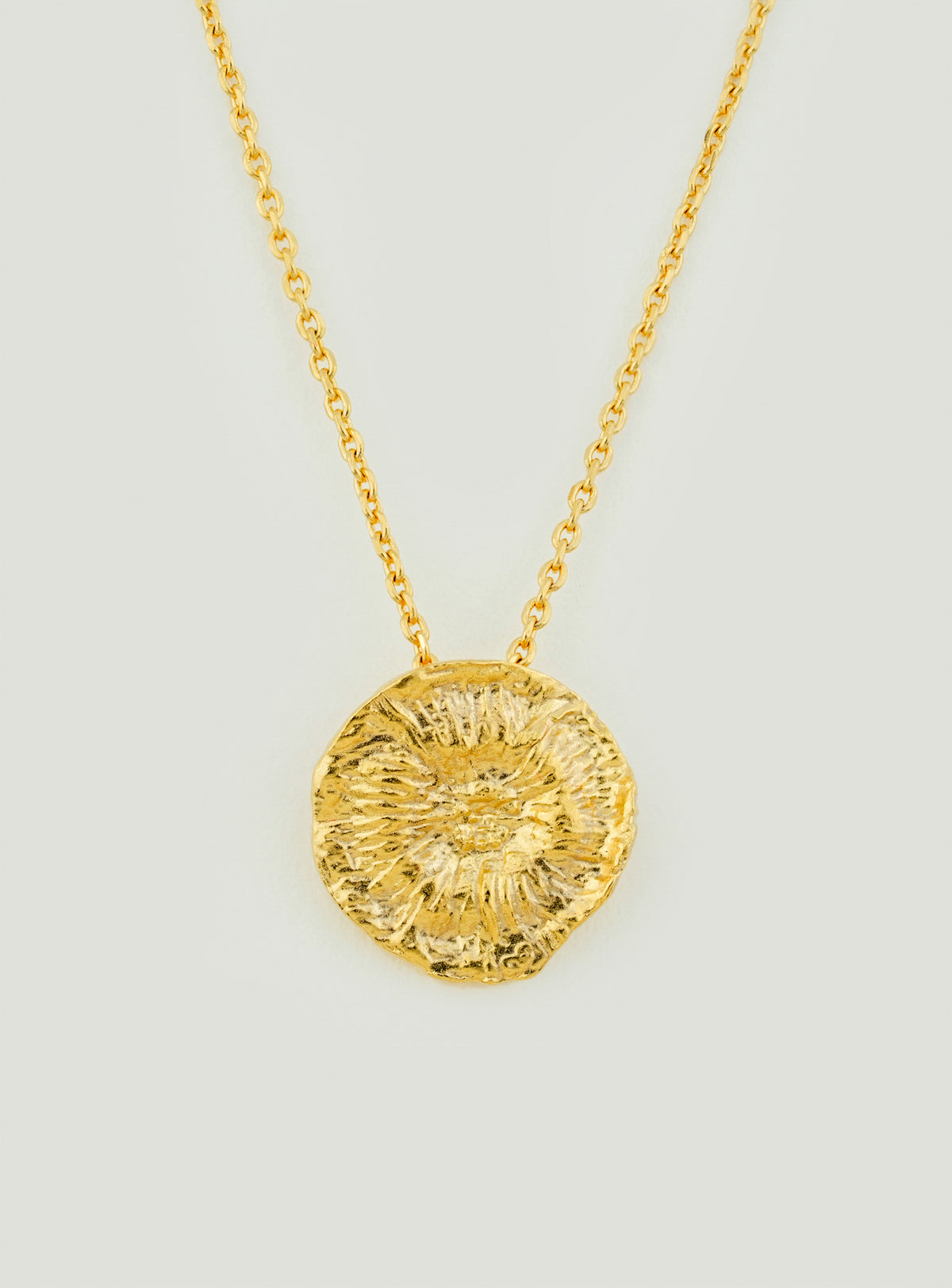 Fossil Imprint Pendant Necklace